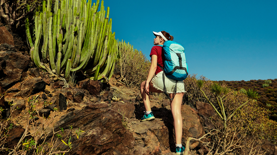 Beleszerettek Tenerifébe, hétszer nyaraltak ott, mielőtt végleg kiköltöztek volna