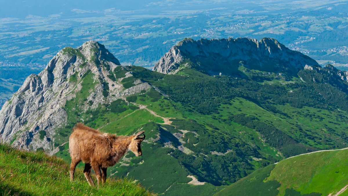 Koronawirus w Polsce. Tatry i Zakopane po pandemii