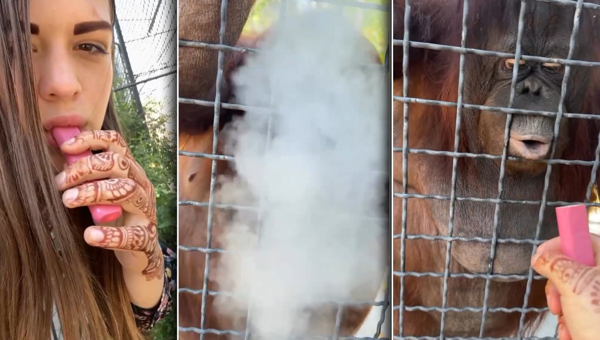 Rosjanka poszła do zoo i wywołała skandal. Sama opublikowała szokujące nagranie [WIDEO]