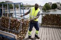 Kłódki znikają z paryskiego Pont des Arts