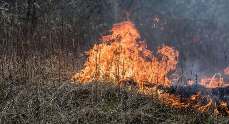 Trudno mówić o jakiejkolwiek kontroli wypalanych traw. W rozprzestrzenianiu ognia kluczową rolę odgrywa wiatr. Gdy gwałtownie zmienia kierunek, pożary bardzo często wymykają się spod kontroli.