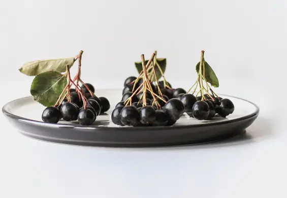 Aronia - niedoceniane superfood [właściwości]