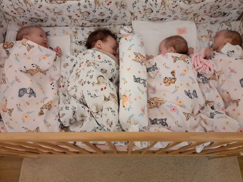 Četvorke porodice Rankov