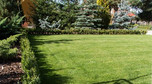Nowoczesny ogród w Radomiu - z altaną i słonecznym tarasem