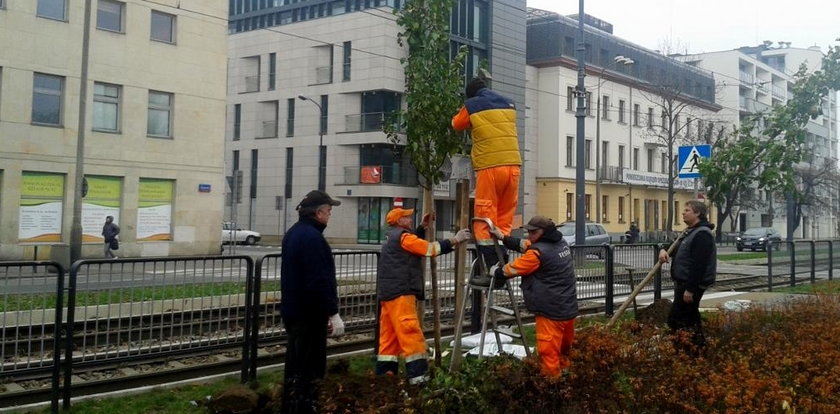 Na wiosnę Praga się zazieleni