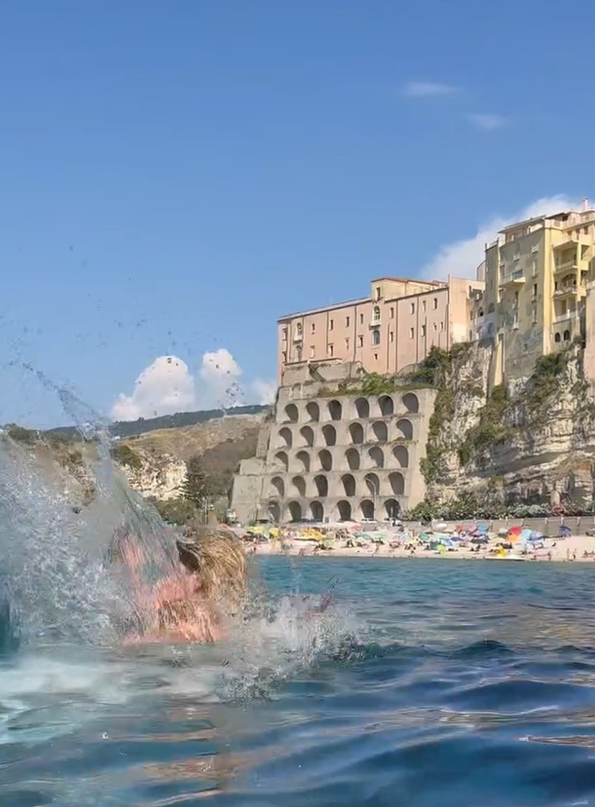 Kristina Radenković, objava