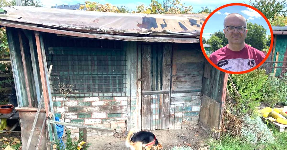 Kupili działkę ROD. "Nie wzięliśmy pod uwagę istotnego elementu"