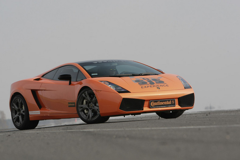 Test Lamborghini Gallardo: dzielny byk