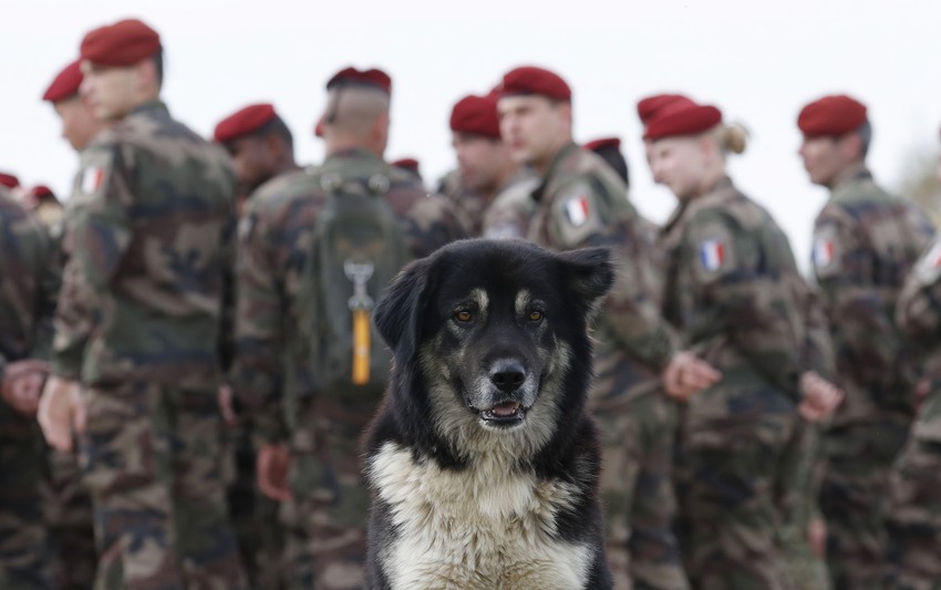 Francuska vojska u NATO bazi kod sela Činku