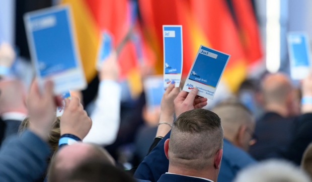 Delegati AfD na partijskoj konferenciji u Magdeburgu u Saksoniji-Anhalt 11. aprila