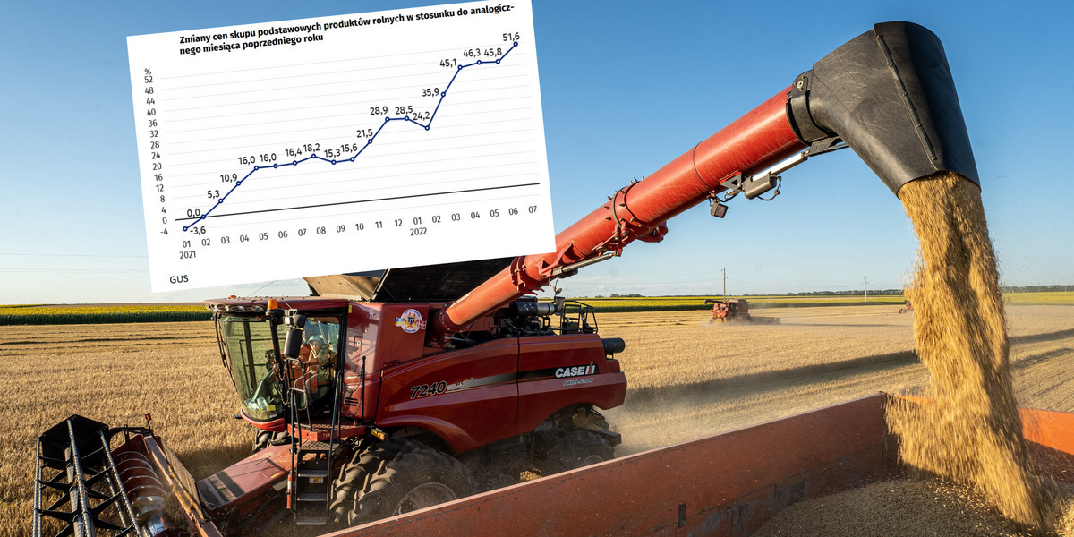 Ceny skupu produktów rolnych w lipcu wzrosły o 51 proc. 
