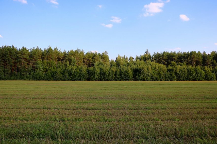 Działka rolna na sprzedaż