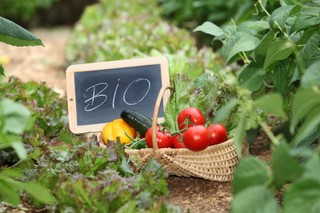 Ekologiczna żywność to nie tylko mięso z probówki