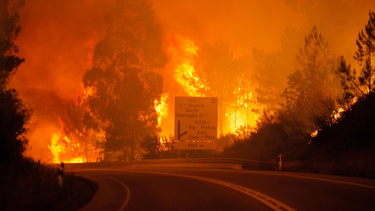 - Do tej chwili udało się potwierdzić tożsamość 24 osób, które zginęły wczoraj w pożarach lasów w dystrykcie Leiria w centralnej Portugalii. Liczba ofiar może jeszcze wzrosnąć. Stoimy w obliczu potwornej tragedii – powiedział premier Prtugalii Antonio Costa.