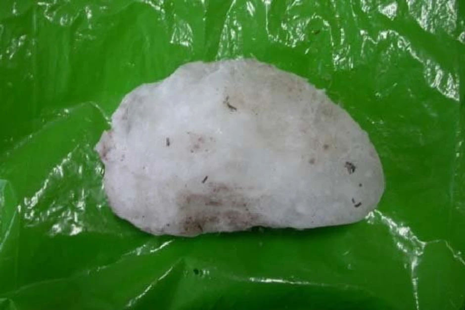 Megakriometeor: Predmet koji je pao na kuću Petrovića