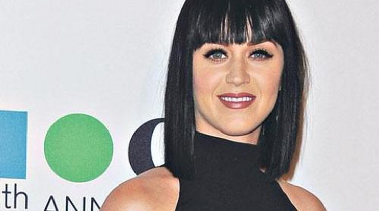 Katy Perry szülni akar, partner nélkül