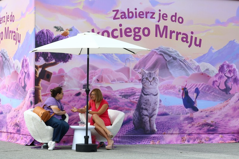 Kiedy kot mówi: „kocham Cię”. Co zdradzają jego gesty, mruczenie i osobowość?