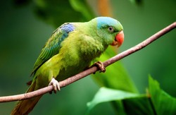 Niebezpieczna epidemia w Europie. Nie żyje już 5 osób