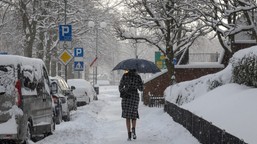 jest prognoza na luty. takiej pogody dawno nie było. "ewenement"
