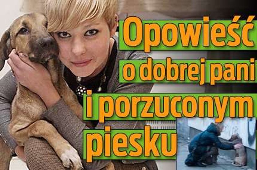 Opowieść o dobrej pani i porzuconym piesku 