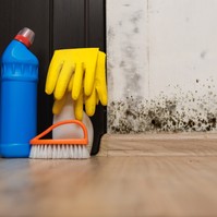 Penészesedik a fala? Ezeket az egyszerű módszereket próbálja ki ellene!