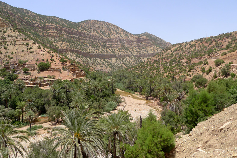 Rajska Dolina w pełnej okazałości - srogie góry, palmy i stare berberyjskie wioski