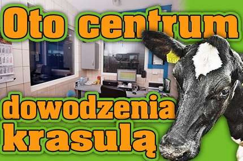 Oto centrum dowodzenia krasulą