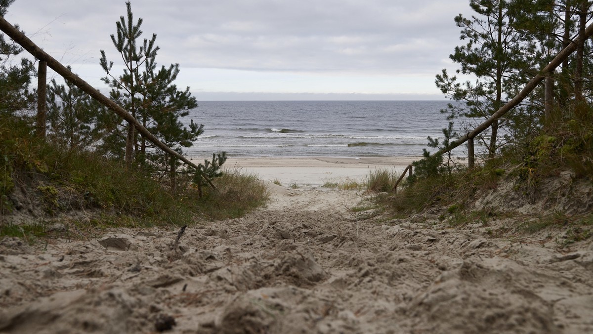 Widok na plażę