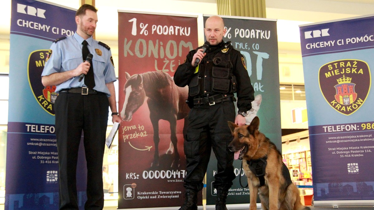 Pokazy psów służbowych, bezpłatne porady weterynarzy czy warsztaty z pierwszej pomocy dla czworonogów to tylko niektóre z atrakcji akcji "Pieskie życie" współorganizowanej przez Straż Miejską Miasta Krakowa. Wydarzenie miało na celu wsparcie podopiecznych Krakowskiego Towarzystwa Opieki nad Zwierzętami.