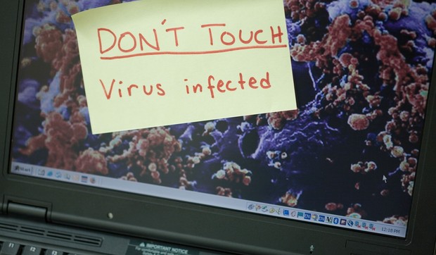 Virus