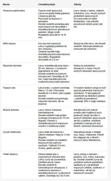 Robaki najczęściej żerujące w mące - AniaRadzi.pl