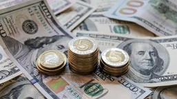 złoty znowu pod kreską? analitycy nie mają złudzeń  [kursy walut. 8.07