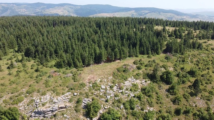 Fenomenalna vest iz kanjona Mileševke, beloglavih supova sve je više