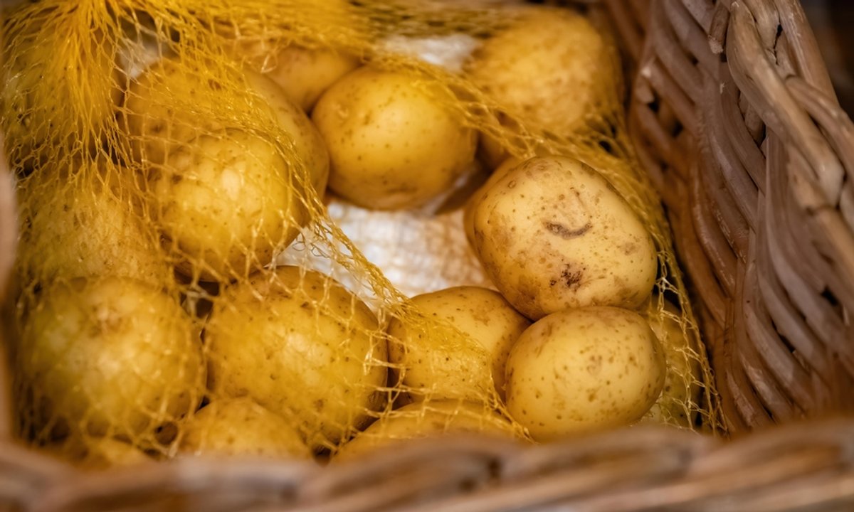 Widzisz to na ziemniakach? Lepiej ich nie jedz. Mogą wywołać zatrucie