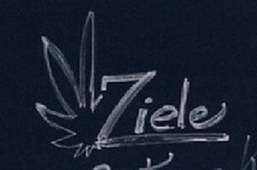 Katarzyna Zielińska logo