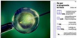 Pary szturmują kliniki in vitro. Więcej chętnych niż dotacji