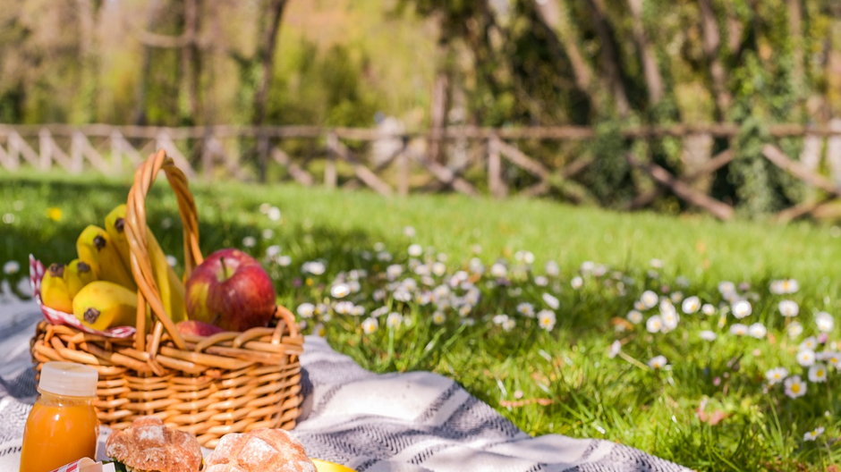 Piknik w ogrodzie / shutterstock