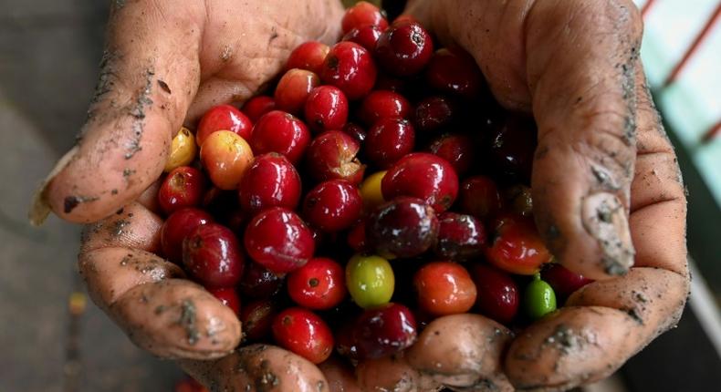 Colombian coffee producers say they are selling at a loss, blaming the crash devastating their industry on stock market speculators who have forced prices down to an all-time low