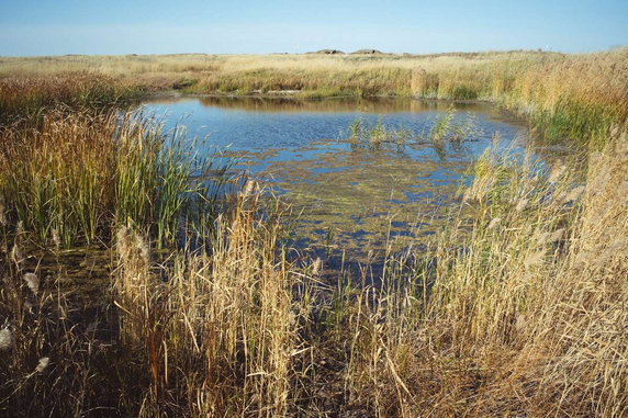 Kurczatow, Kazachstan