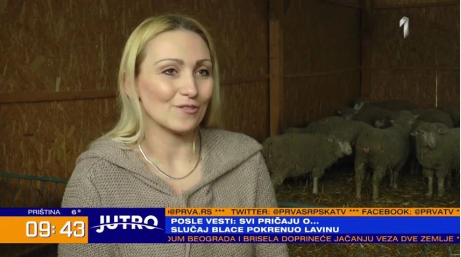 Dimitrijevići, selo, farma ovaca