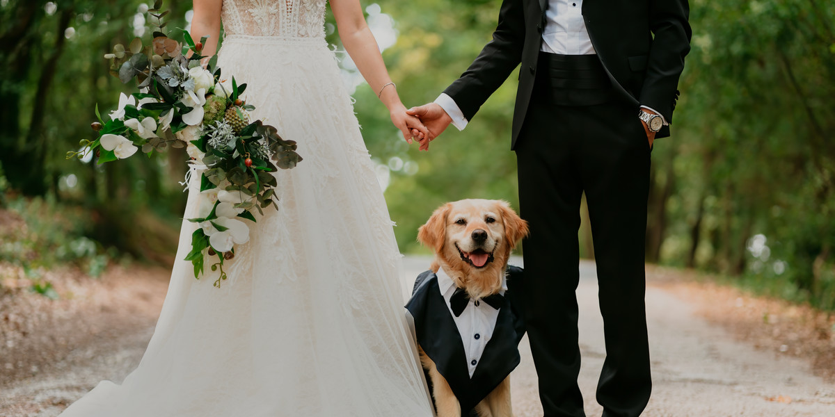 Opieka nad zwierzętami w dniu ślubu może być dochodowym zajęciem.