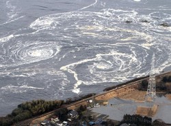Japoński dramat widziany z lotu ptaka