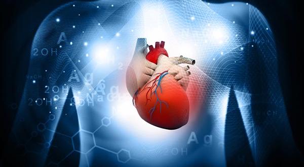 célszervek magas vérnyomása női szív egészségügyi magazin