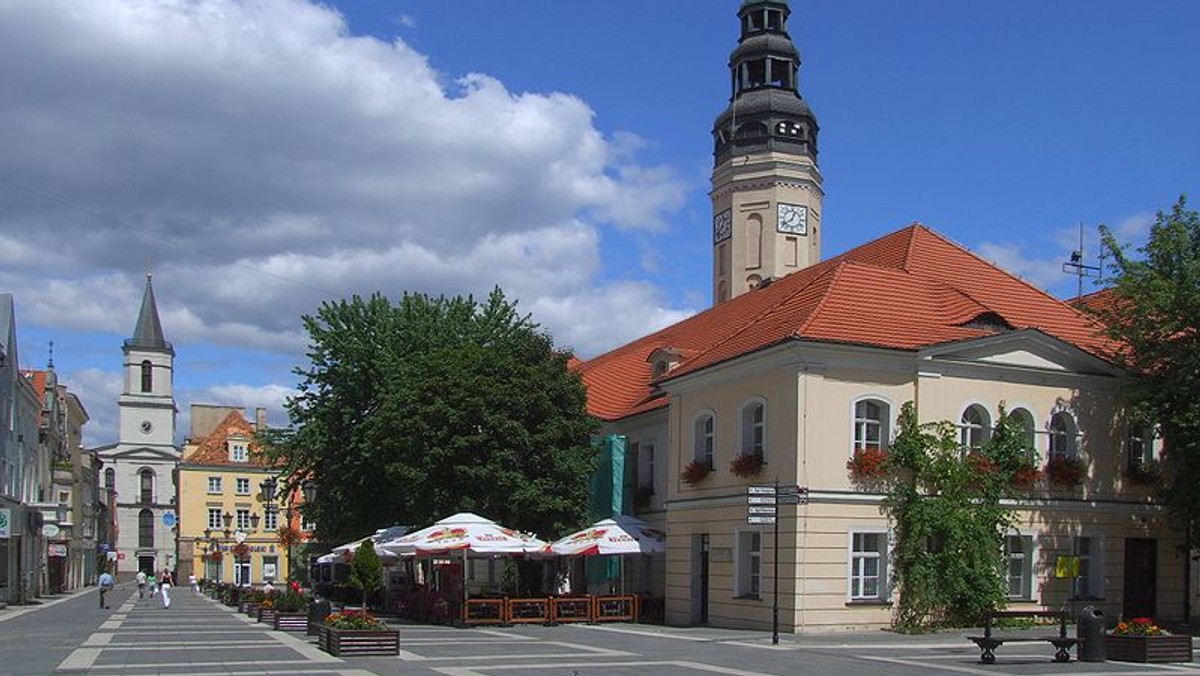 Wieża widokowa, która miała stanąć na Wzgórzach Piastowskich, wzbudzała i wzbudza wiele kontrowersji. Marszałek Elżbieta Polak przychyliła się do głosów przeciwnych jej budowie i zapewniła, że wieża nie zostanie sfinansowana z pieniędzy na rewitalizację Wzgórz Piastowskich.