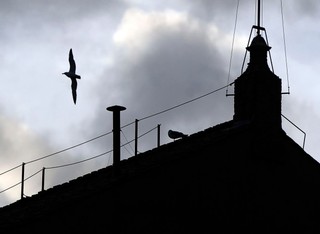 Konklawe. Papabili, czyli kto ma szanse zostać nowym papieżem