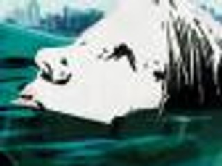 Dorota Masłowska 'Kochanie, zabiłam nasze koty' - recenzja