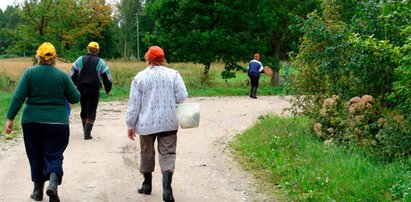 Mszczą się na grzybiarzach! Uwaga na samochody