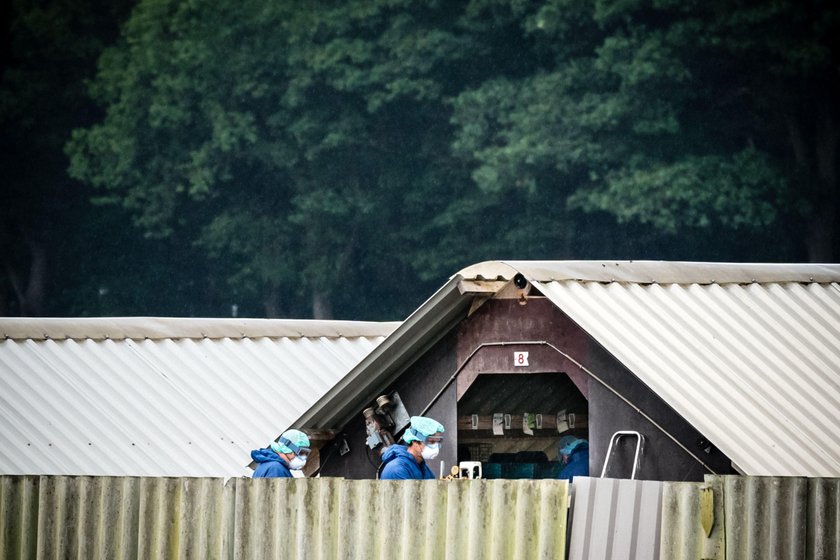 FILE PHOTO: A mink farm is seen during the coronavirus disease (COVID-19) outbreak in Oploo