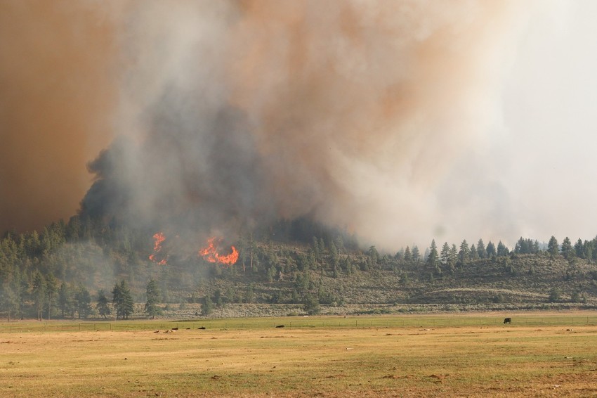 Požar Tamarak na zapadu SAD