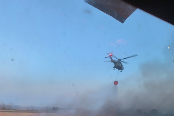 Žan Klod van Dam i Toni Bijelić